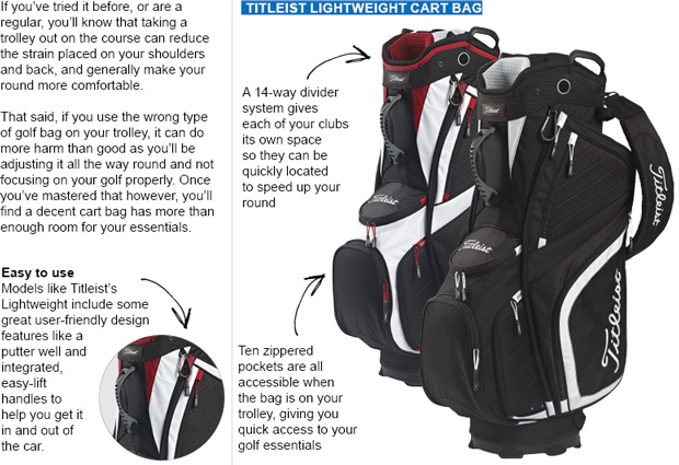 Golf cart bags