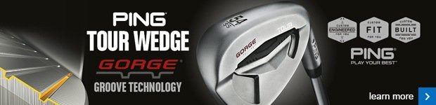 PING Gorge wedges 