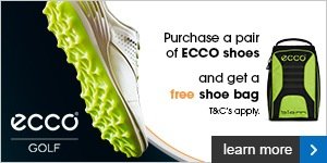 Free ECCO shoe bag