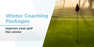 5 for 4 30 minute Lesson Package