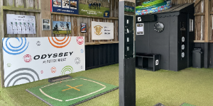 12 Month Golf Improvement 