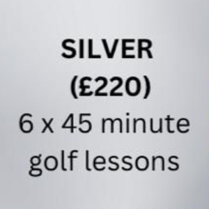 Winter Coaching Package Silver