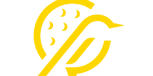 10 x 1 Hour Lesson Bundle