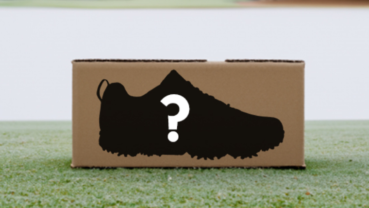 a-cardboard-shoebox-on-a-fairway-with-a-shoe-silhouette-on-the-side