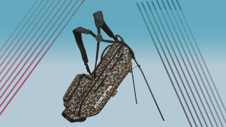 graphic-featuring-a-cobra-bag