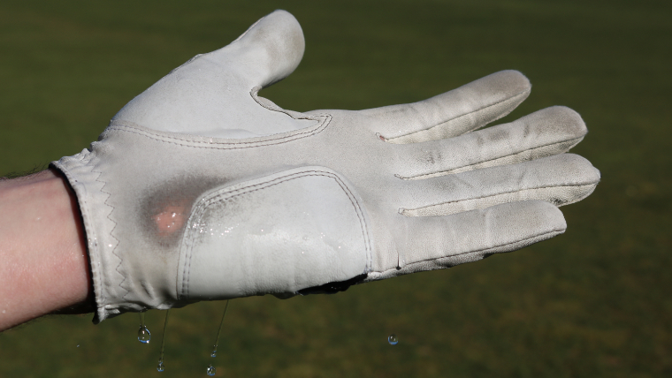 a-wet-worn-golf-glove