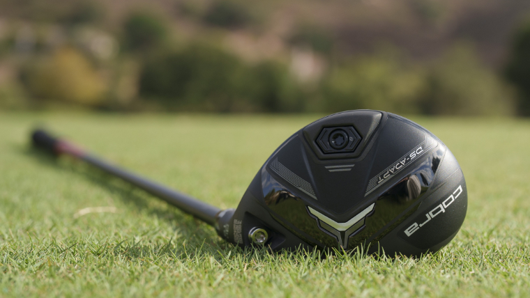 cobra-ds-adapt-hybrid-resting-on-grass