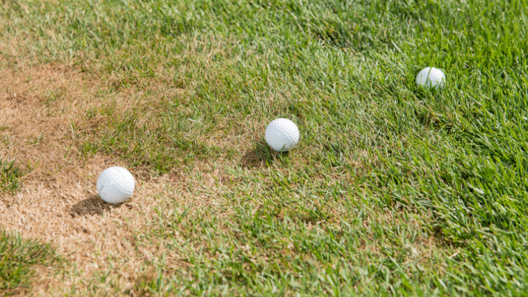 three-golf-balls-positioned-to-demonstrate-the-difference-between-lush-and-bare-grass