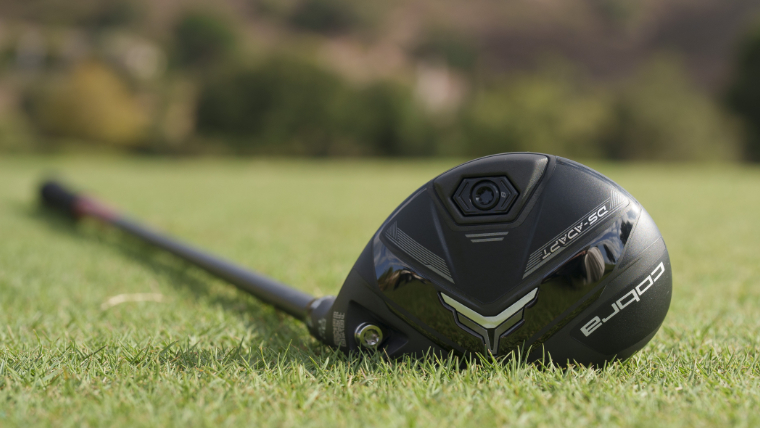 cobra-ds-adapt-hybrid