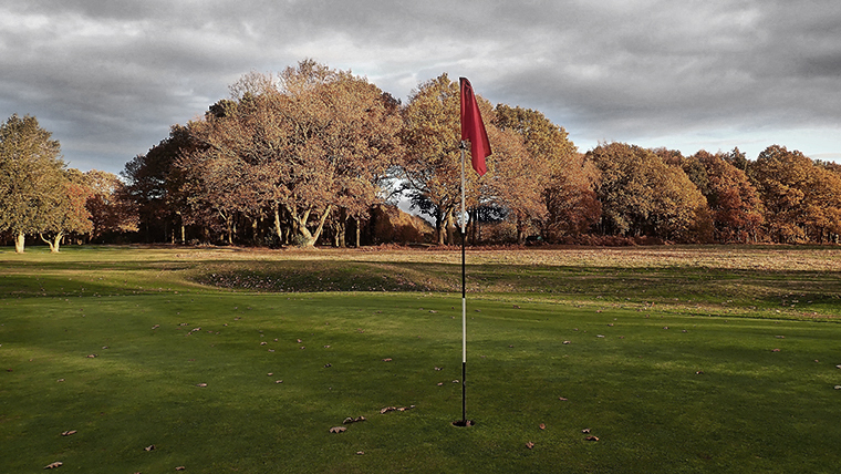 an-autumn-golf-hole-laden-with-brown-leaves