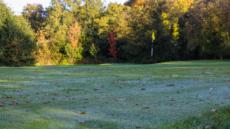 autumnal-sunlight-falling-on-a-golf-green