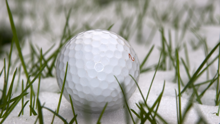a-golf-ball-among-snowy-grass