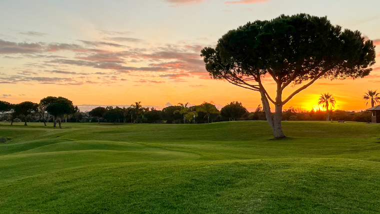 a-delightful-sunset-over-a-golf-course