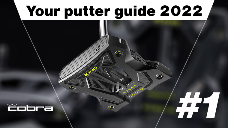 Cobra 3D Printed putter guide