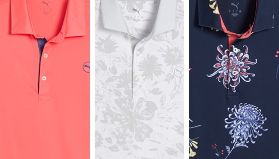 Most stylish polos in-store