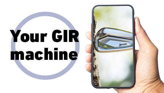 Everything you need to know