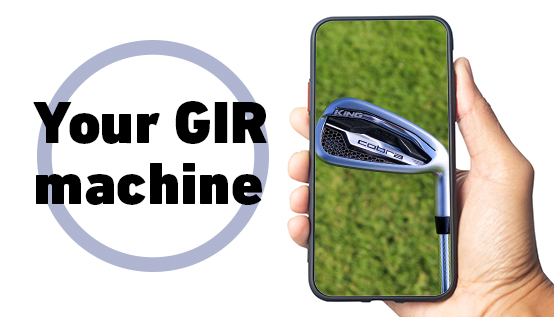 Everything you need to know