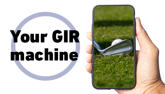 Everything you need to know