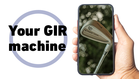 Everything you need to know