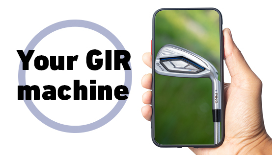 Everything you need to know