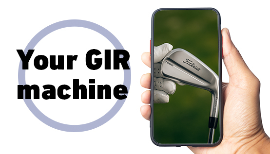 Everything you need to know