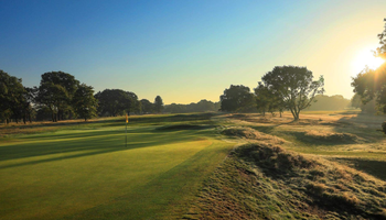 The Course