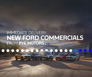 PYE Motors