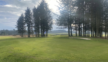 Short Game Area