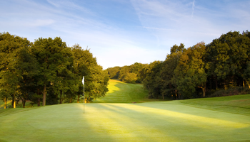 The Course