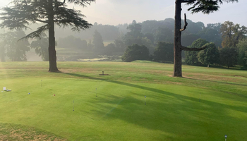 Practice Areas