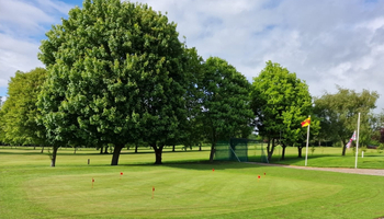 Practice Area