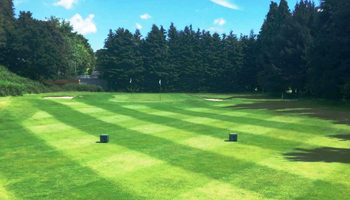 Short Game Area