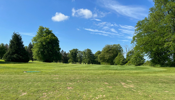 Practice Area