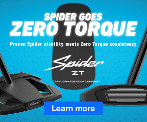 Spider Goes Zero Torque. 