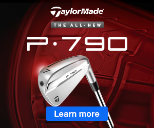 TaylorMade P790 Irons