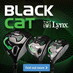 Lynx Black Cat Woods