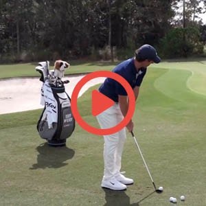 TaylorMade: McIlroy One Stop Chip